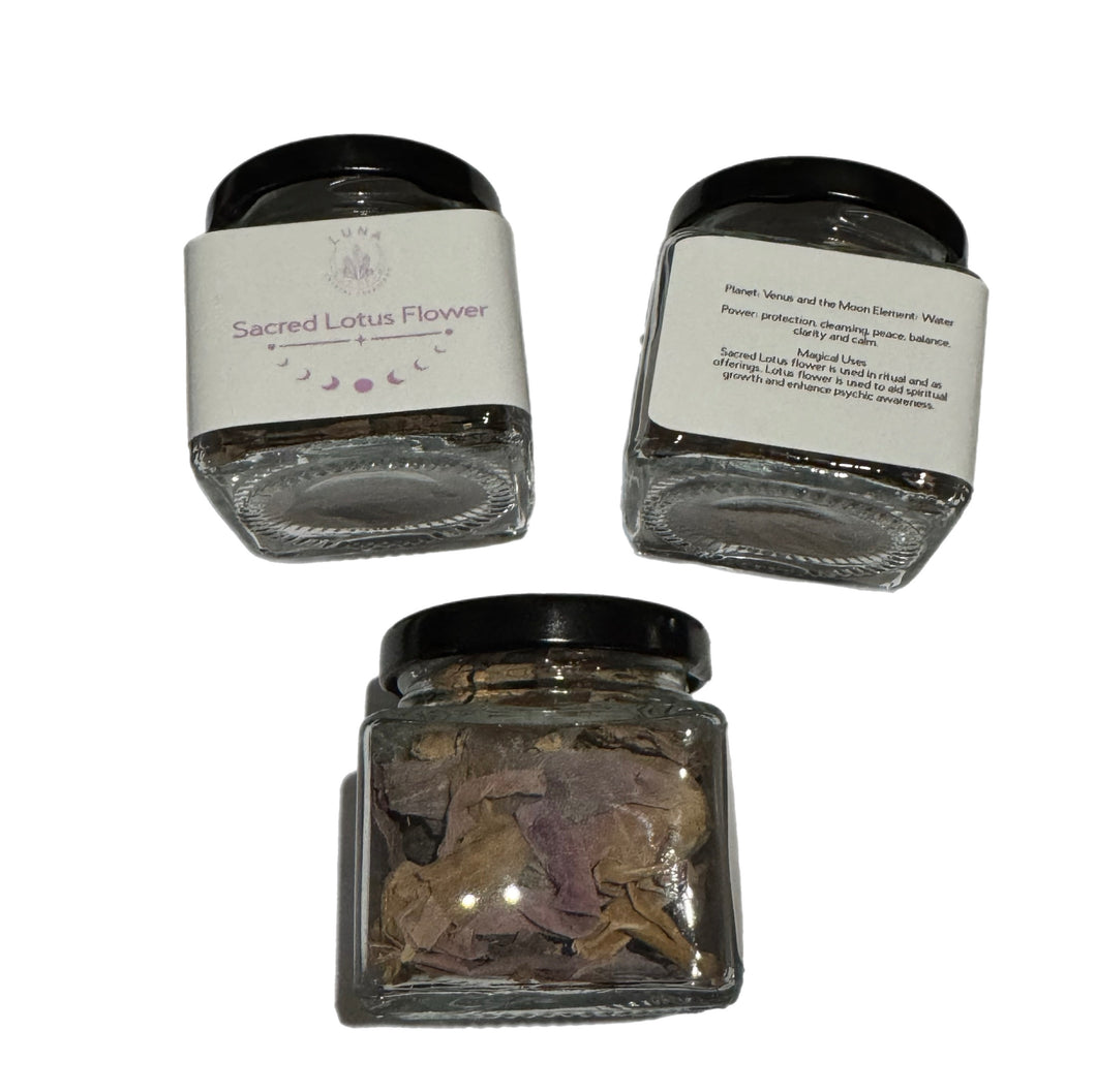 HERB: Sacred Lotus Flower