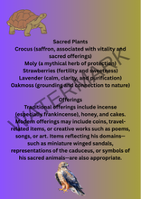 Load image into Gallery viewer, Book of Shadow pages: DEITY X3
