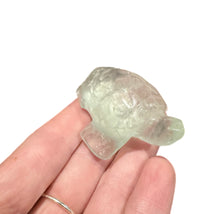 Load image into Gallery viewer, Fluorite Turtles
