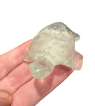 Load image into Gallery viewer, Fluorite Turtles

