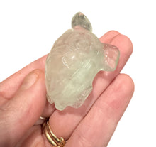Load image into Gallery viewer, Fluorite Turtles
