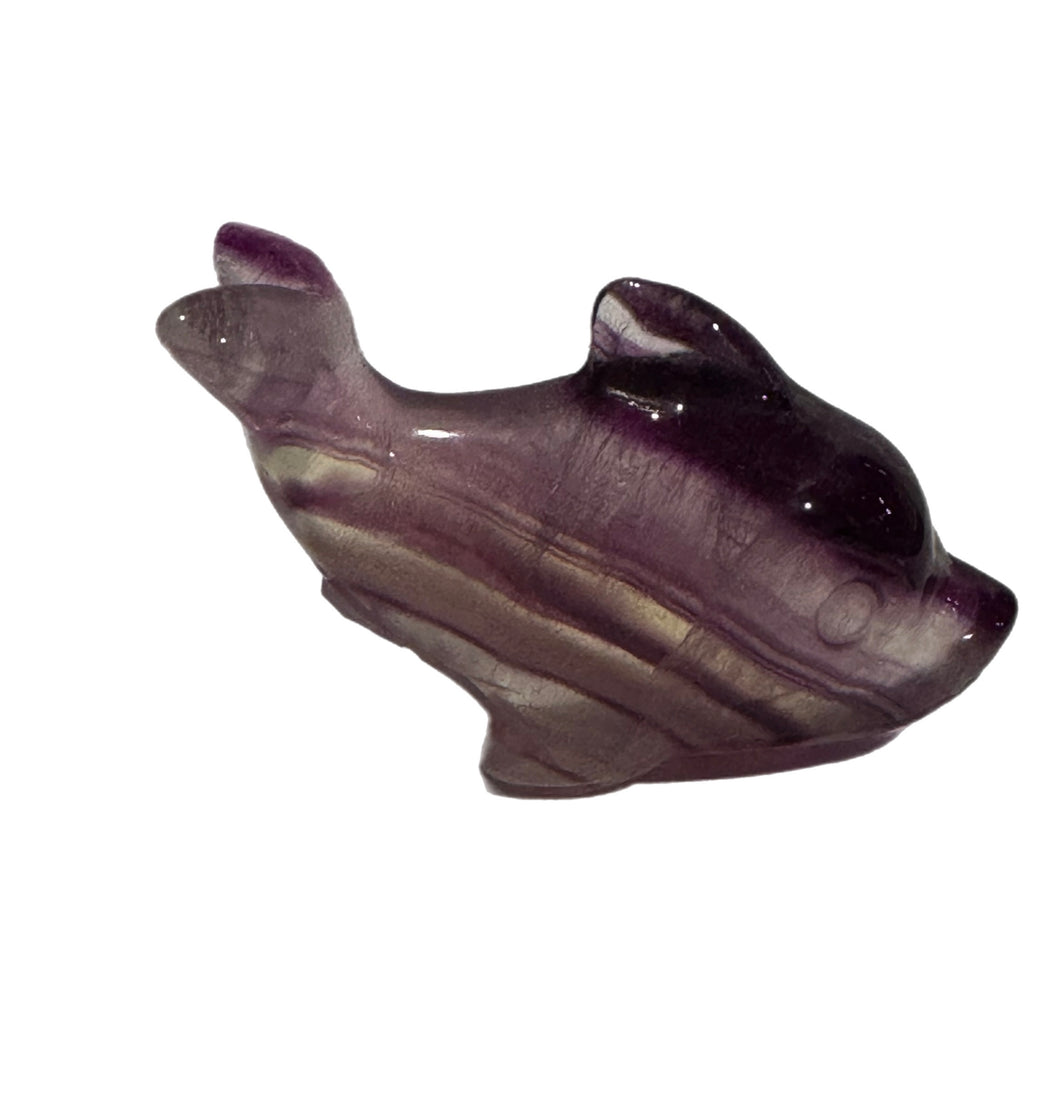 Fluorite Dolphin