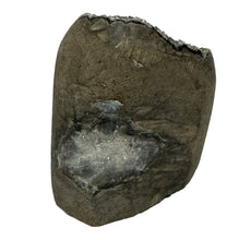 Load image into Gallery viewer, Black Amethyst Freeform

