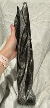Load image into Gallery viewer, Fossil Orthoceras Tower
