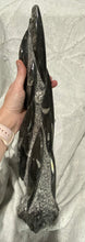 Load image into Gallery viewer, Fossil Orthoceras Tower
