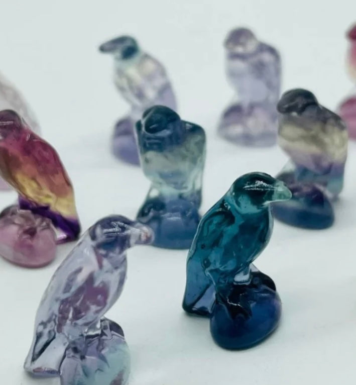 Fluorite Mini Crow
