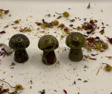 Load image into Gallery viewer, Dragonsblood mushrooms
