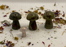 Load image into Gallery viewer, Dragonsblood mushrooms
