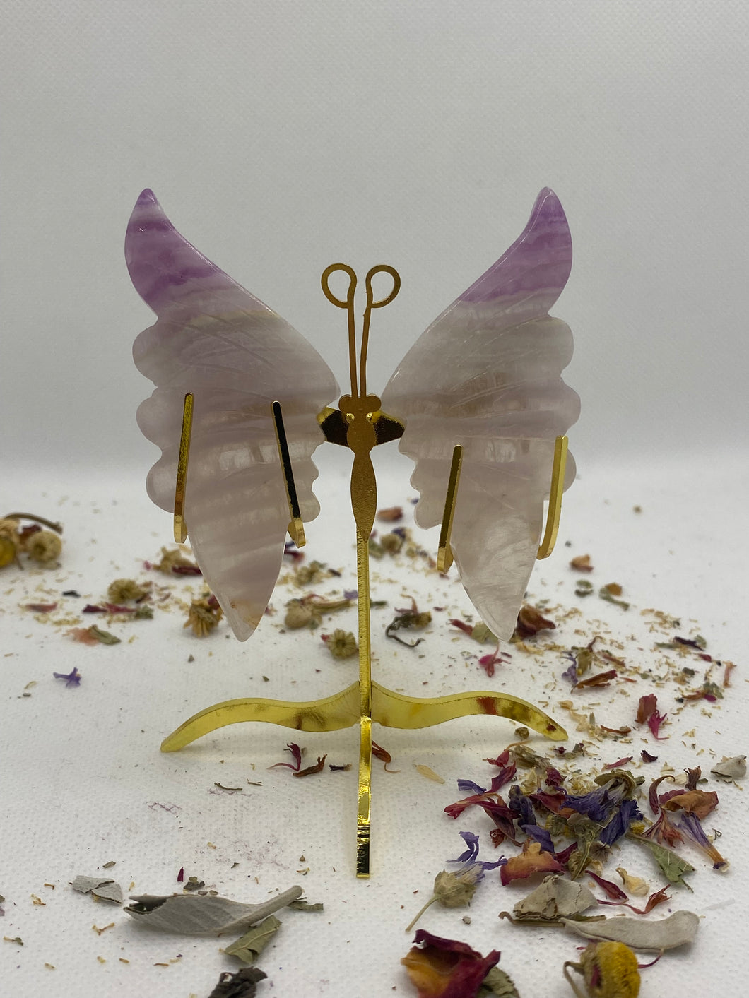 Fluorite Butterfly Wing Set- With Stand
