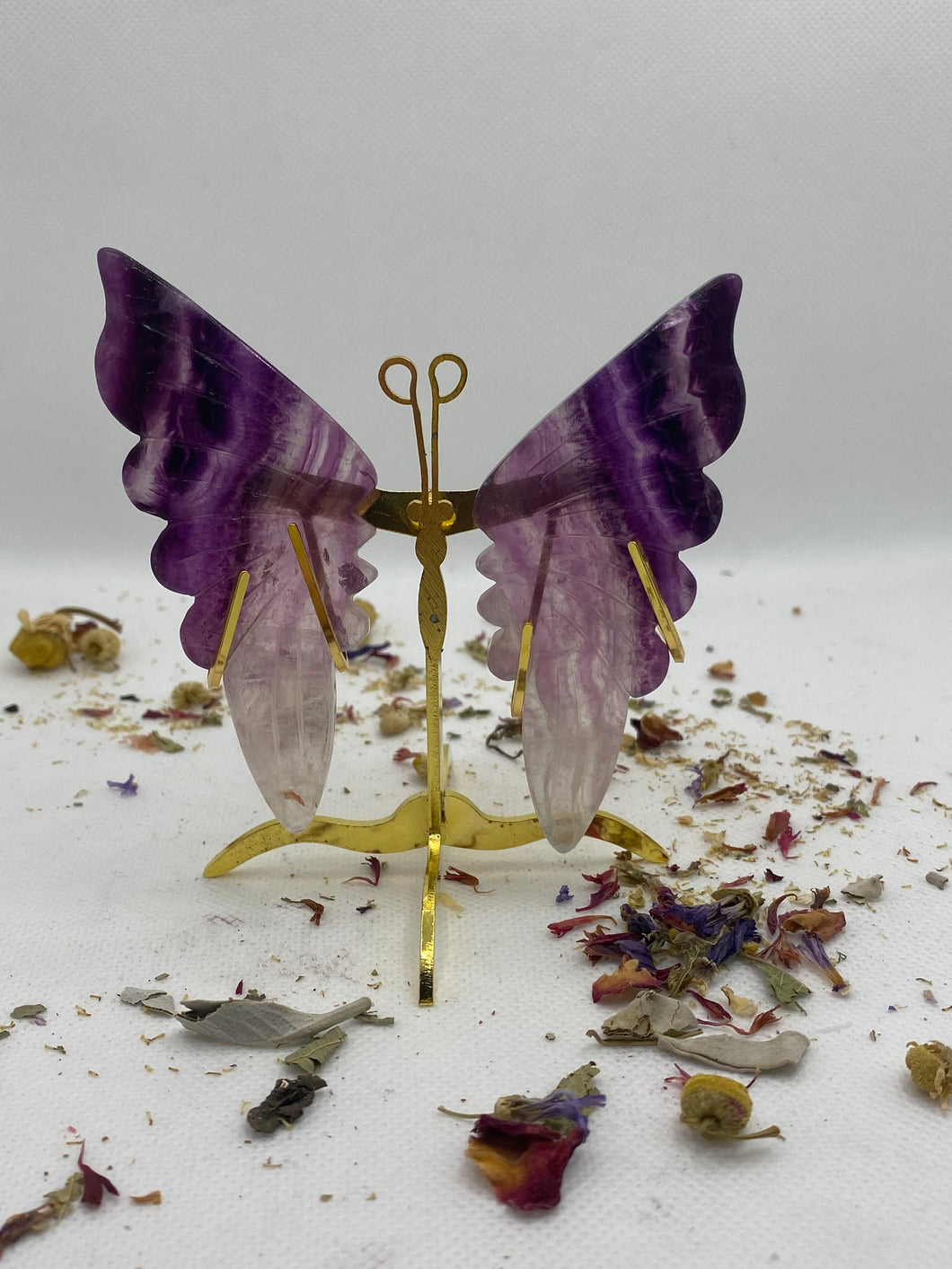 Fluorite Butterfly Wing Set- With Stand