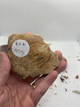 Load image into Gallery viewer, Petrified Wood Slabs
