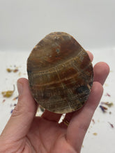 Load image into Gallery viewer, Petrified Wood Slabs
