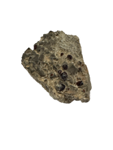 Load image into Gallery viewer, Garnet and Smokey Quartz on matrix
