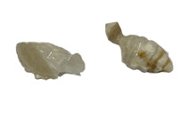 Load image into Gallery viewer, Banded Mexican Calcite Turtles 🐢 Hand Carved

