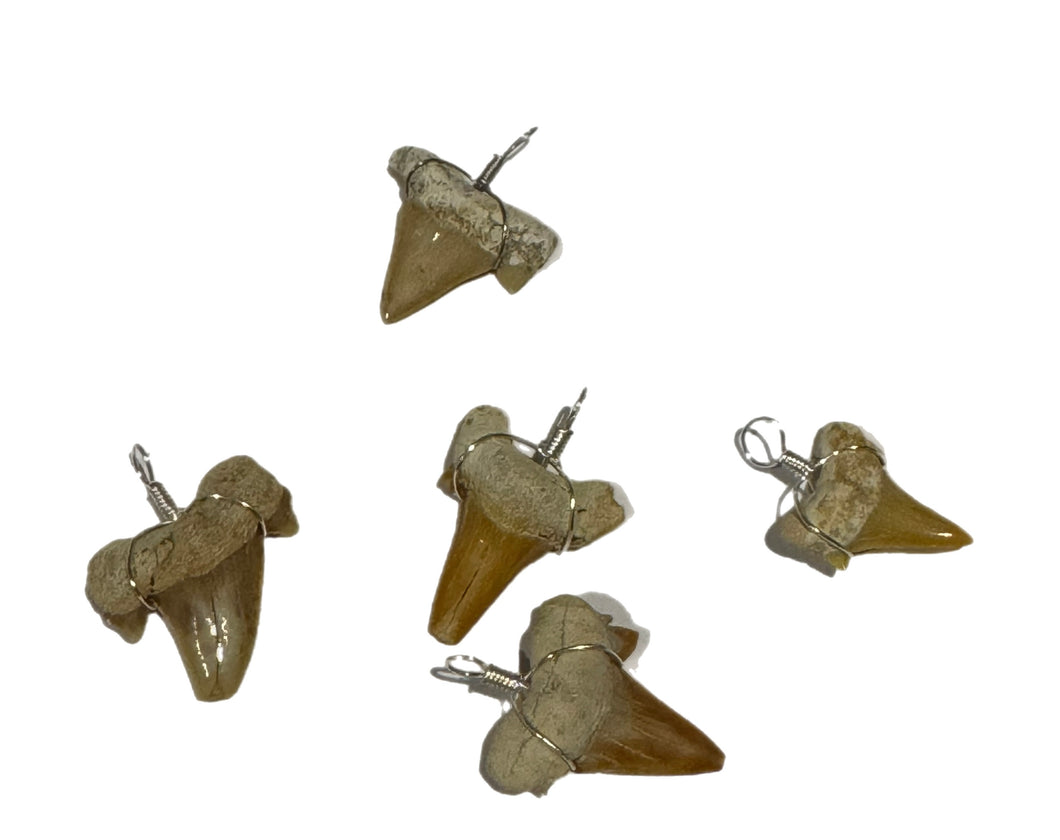 Shark Teeth Pendents