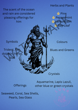 Load image into Gallery viewer, Book of Shadow pages: DEITY
