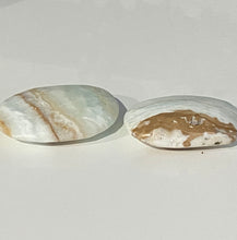 Load image into Gallery viewer, Caribbean Calcite Palm Stone
