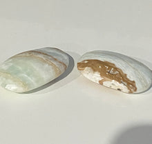 Load image into Gallery viewer, Caribbean Calcite Palm Stone

