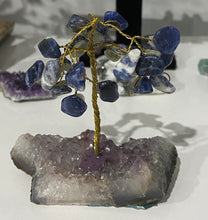 Load image into Gallery viewer, Small Gem Trees - Tumbled Top
