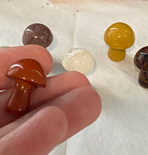 Load image into Gallery viewer, Mini Mushrooms
