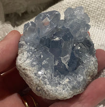 Load image into Gallery viewer, Celestite Cluster
