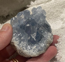 Load image into Gallery viewer, Celestite Cluster
