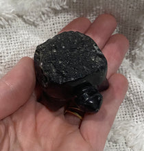 Load image into Gallery viewer, Agni Manitite Turtle
