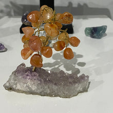 Load image into Gallery viewer, Small Gem Trees - Tumbled Top
