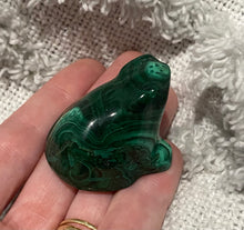 Load image into Gallery viewer, Malachite Frog
