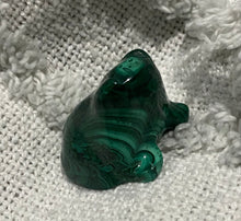 Load image into Gallery viewer, Malachite Frog
